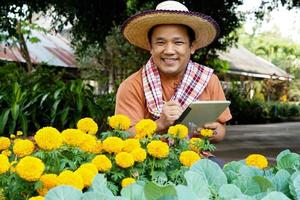 asiatischer mann mittleren alters entspannt sich in seiner freizeit, indem er mit seinem taplet fotos macht und die anbaudaten neben den gemüsebeeten im hinterhof seines hauses speichert. weicher und selektiver Fokus.