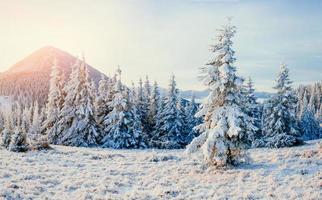 Winterlandschaft im Sonnenlicht. dramatische winterliche Szene. Wagen foto