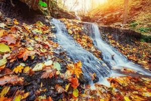 Wasserfall im Herbstsonnenlicht. Beauty-Welt. Karpaten Ukraine Europa foto