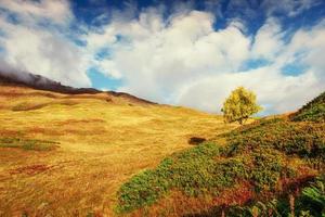 Herbstlandschaft und schneebedeckte Berggipfel. foto