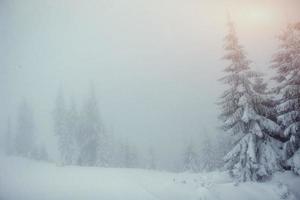 Nebel in den Winterbergen. fantastischer Sonnenuntergang. foto