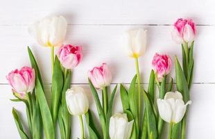 schöne Tulpen auf weißem Hintergrund aus Holz. Frühlingsstimmung foto