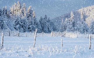 Winterlandschaft Bäume und Zaun im Rauhreif, Hintergrund mit s foto