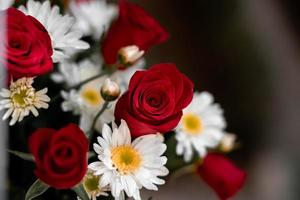 Strauß roter Rosen und Gänseblümchen hautnah foto