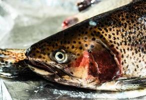 ungekochter Forellenfisch foto