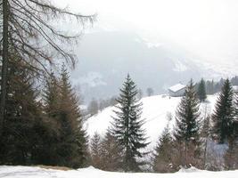 piz bernina gebirge in den schweizerischen alpen im kanton gr foto