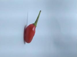 rote Chilischote ist auf einem weißen Hintergrund isoliert. foto