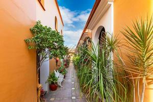 oaxaca, mexiko, malerische altstadtstraßen und farbenfrohe koloniale gebäude im historischen stadtzentrum foto