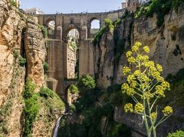 ronda, andalusien, spanien, 2014. blick auf die neue brücke in ronda foto