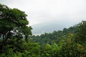 schönes Waldbild mit Bergen foto