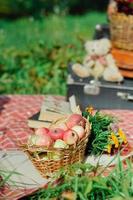 Mutter und Tochter bei einem Picknick foto