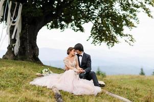 das brautpaar sitzt auf einem baumstamm unter einer alten eiche. Hochzeitsfotoshooting in den Bergen. foto