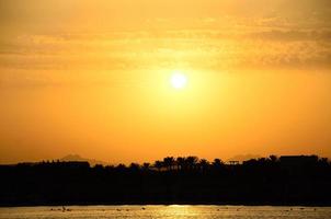 Sonnenuntergang mit Palmen am Meer foto