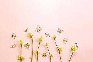 zarte kleine blätter aus offenen knospen an zweigsprossen auf rosa hintergrund. Frühling, Beginn eines neuen Lebens, Zärtlichkeit. kopierraum, rahmen foto