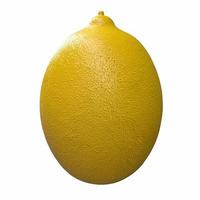 Zitrone lokalisiert auf weißem Hintergrund foto