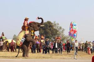 Provinz Sayaboury, Laos, Elefantenfest 2018 foto