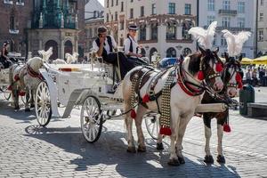 Krakau, Polen, 2014. Kutsche und Pferde foto