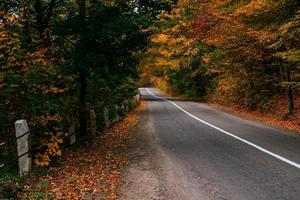 Herbststraßenlandschaft foto