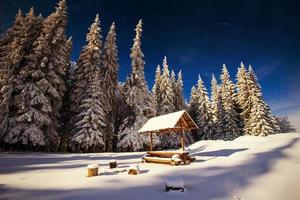 schneebedeckte Berge foto