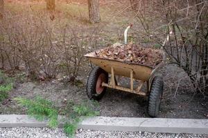 Herbst-Frühling-Arbeit im Garten. Schubkarre mit Müll foto