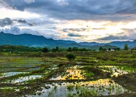 Reisfelder und Berg bei Sonnenuntergang in Nordthailand foto