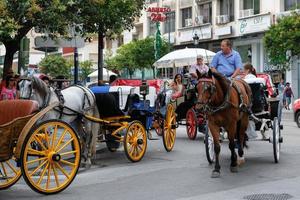 marbella, andalusien, spanien, 2017. pferd und kutsche foto