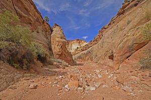 durcheinandergewürfelte Felsen im Flussbett der Wüste foto