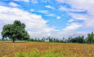 blauer Himmel und Wolke mit Wiesenbaum. schlichter Landschaftshintergrund für Sommerposter foto