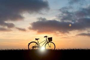 Silhouetten von Fahrrädern, die in einem schönen Park geparkt sind foto