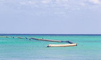 algen-sargazo-netz im türkisfarbenen wasser playa del carmen mexiko. foto