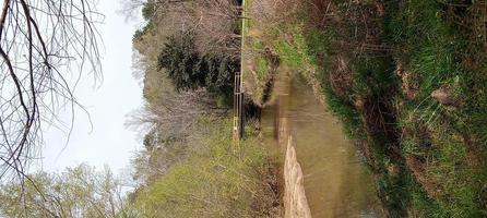 die Brücke über den Bach foto