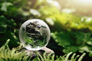 Kristallkugelglas, das auf Stein mit grünem Blatt und Sonnenschein im Naturforset ruht. Öko-Umweltkonzept