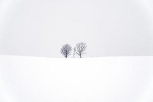 eltern- und kindbaum unter schneefall foto