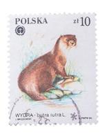 polen - ca. 1984. eine in gedruckte briefmarke zeigt ein bild von foto