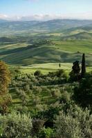 landschaft des val d'orcia in der nähe von pienza in der toskana foto