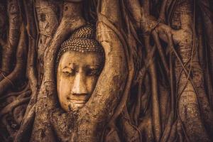thailand ruinen und antiquitäten im historischen park von ayutthaya touristen aus aller welt buddha zerfall foto