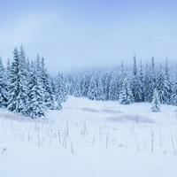 wunderbare Winterlandschaft foto