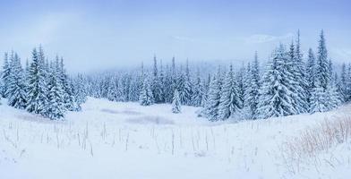 wunderbare Winterlandschaft foto