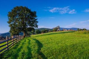 mysteriöse Arten in den Karpaten foto