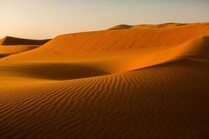 schöne sanddünen in der sahara-wüste in marokko. Landschaft in Afrika in der Wüste. foto