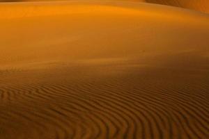 schöne sanddünen in der sahara-wüste in marokko. Landschaft in Afrika in der Wüste. foto