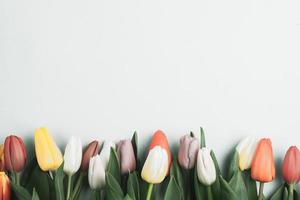 Banner mit Tulpenstrauß in rosa und weißen Farben. konzept des frühlings, frauentag, muttertag, 8. märz, die feiertagsgrüße foto