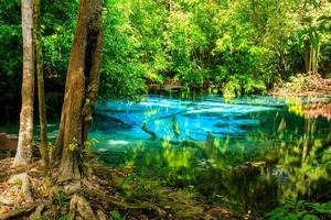 blauer pool, türkisfarbene kristallklare quelle versteckt mitten im wald, krabi, thailand foto