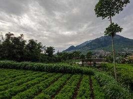 Das Erscheinungsbild des Berges Merapi Boyolali, Zentral-Java, von der Nordseite aus gesehen, mit landwirtschaftlichen Flächen im Vordergrund foto