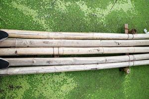 trockene Bambusse auf dem grünen Unkraut foto