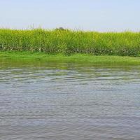 Blick auf den Yamuna-Fluss vom Boot am Tag in Vrindavan, Krishna-Tempel Kesi Ghat am Ufer des Yamuna-Flusses in der Stadt Vrindavan, Bootfahren auf dem Yamuna-Fluss Vrindavan foto