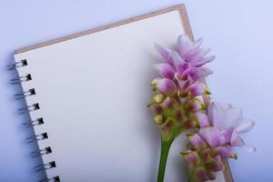Notebook und Siam-Tulpe auf weißem Hintergrund foto