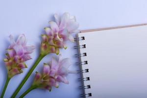 Notebook und Siam-Tulpe auf weißem Hintergrund foto