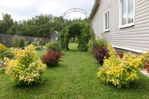 ein Gartengrundstück zur Erholung, mit schönen gelben und braunen Büschen, mit Traubenbögen und mit einem mit Abstellgleis ummantelten Haus,