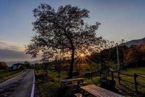 2021 07 11 colletto di velo Sonne und Baum foto